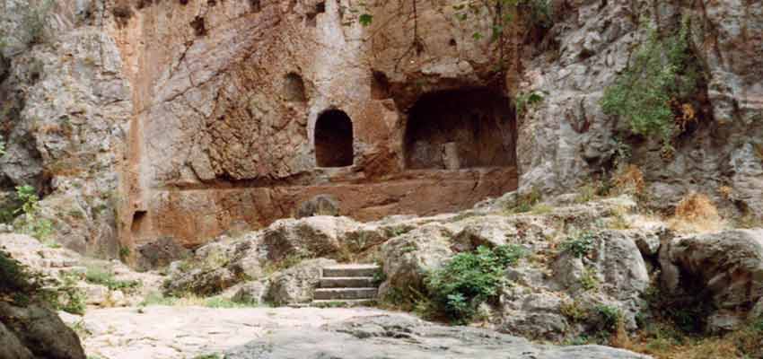 Castalia For Delphi 7 Download